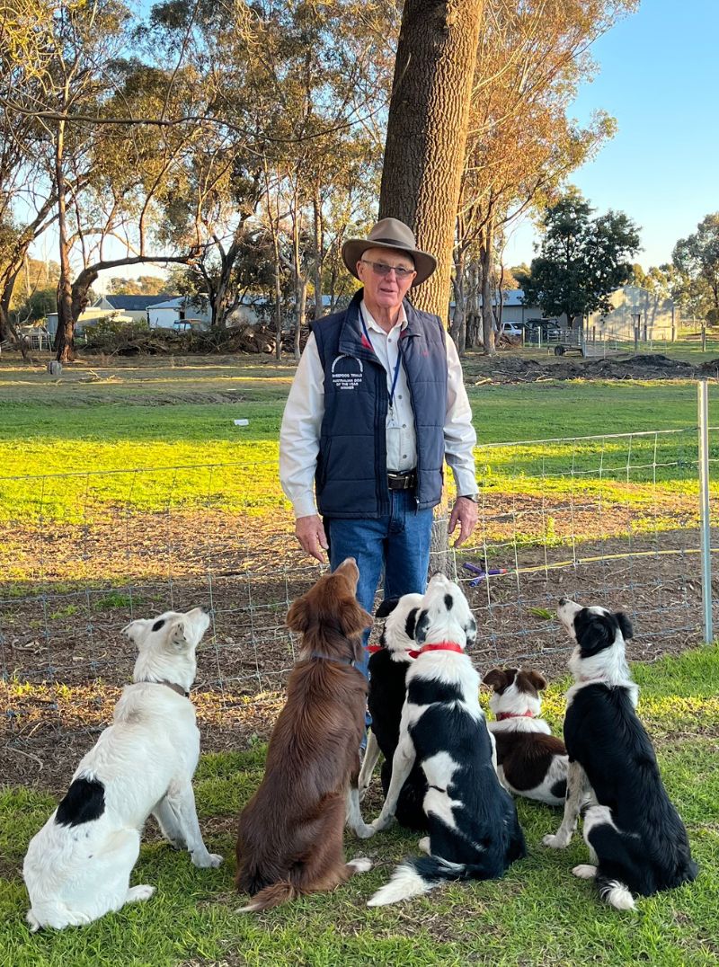David-Lacey-Dog-Training-GV